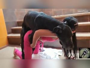 Unveiling the Forbidden: ArtOfZoo HD Experiences