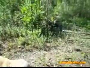 Woman Submissive to a Dog in the Forest: A Video of Extreme Zoophilia