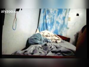 Hidden Truth: Animal Obsessions Exposed