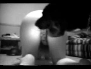 Blonde Wife and Her Best Friend on All Fours - Bestiality Sex Video