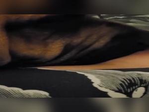 Sex videos with dogs