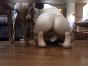 Dog Sex Videos - Extreme Bestiality
