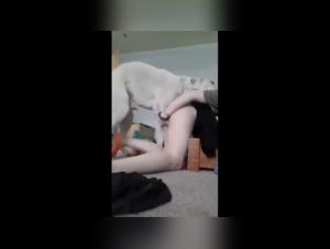 An intense zoophilia experience with a woman and her dog