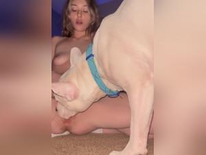 animal pornography videos