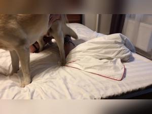 Sonya and her adventure with a dog - Shocking bestiality sex video