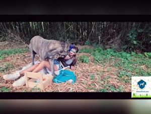 Lesbian Asian Bestiality Films with Dog and XXX Content: An Unforgettable Mix