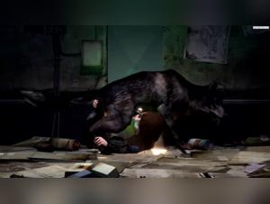 Bestiality: A Forbidden Encounter