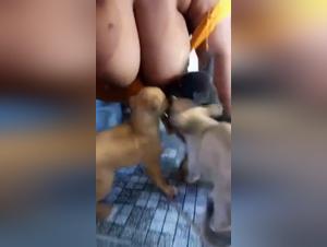 Delving into Zoo Art's Boundaries