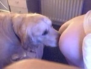 A Bestial Experience with a Dog