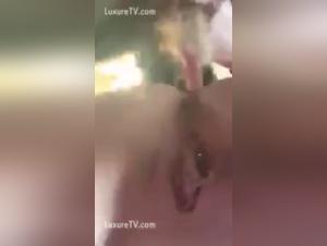 Bestial encounter: woman and dog