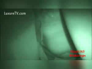 Bestial Experience: Boar Sex