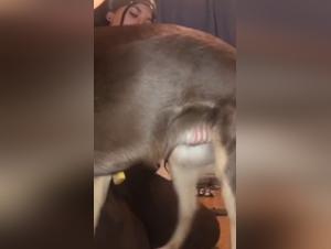 Fearless Teenage Girl: An Extreme Bestiality Experience - Part 1