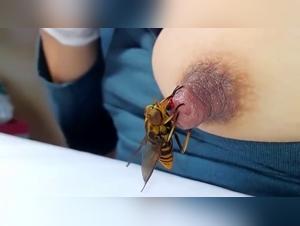 Bestialische und spannende Begegnung mit einem Pferd