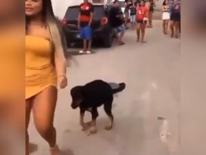 Forbidden Encounter: Woman and Dog