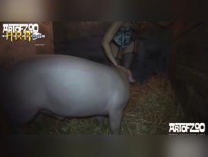 Yasmins Team and their Meeting with Four-Legged Companions