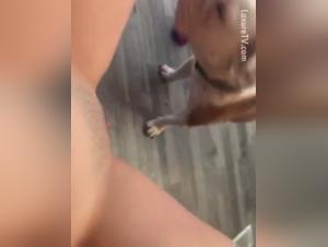 A beastly encounter between a teen and her dog