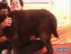 Chubby woman and her dog: a shocking bestiality video