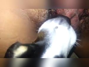 Ella and her puppy: A video of extreme zoophilia