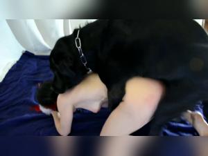 Bestiality: Njufie and his master