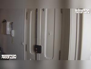 Cheri Pippa baise avec son chien Domino