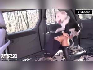Woman and dog: a bestial encounter - Bestiality and zoophilia sex videos