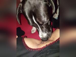 Extreme Animal Sex Tapes: The Best Collection for Hot Sex Fans