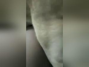 Bestiality: a girl and her dog