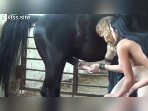 Bestiality: Women and Horses