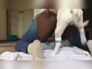 Bestiality: a woman and her dog in a shocking video