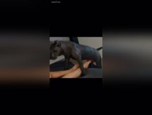 Bestiality Video: A Woman and Her Dog