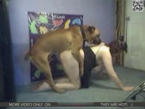 Chubby woman and her dog: a bestiality video not to be missed