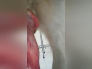 Brazilian woman in the extreme with her dog - Part 2: A shocking zoophilia video