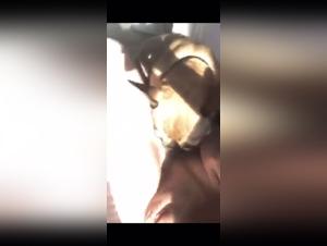 Bestiality: A Woman and Her Dog