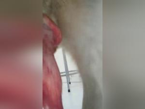 Woman fucking with her dog: a shocking video