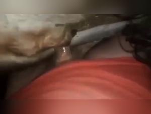 animal and woman encounters