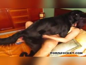 Hot Widow and her Dog - Bestiality Video