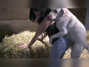 The Lesbian Woman and Her Dog: A Passionate Relationship