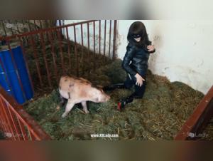 Zoosex Animated Video: Xuxa Sings with a Bear for Two Unhappy Lovers