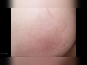 art of zoo beastiality videos