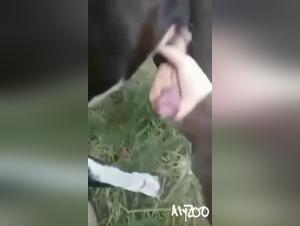 Wild Sex with a Hot 18-Year-Old whore in an open park for her colleague at work in this zooschool