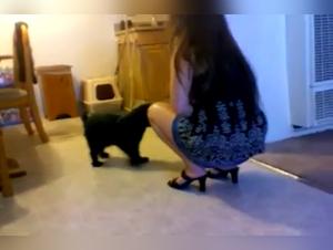 Mature Woman and Dog: A Bestial Encounter - Bestiality Sex Video