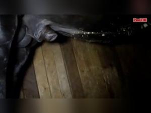 Horse and woman in the stable: an intense bestiality sex scene