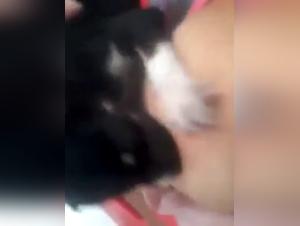 Woman Breastfeeding a Puppy - An Exciting Bestial Experience