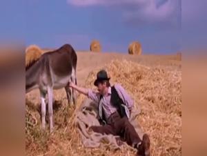 Forbidden love story: Woman and her dog