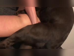 Hot Foreplay with Veronica Silesto and a Dog