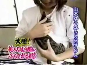 Forbidden meeting: woman and cat