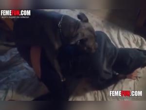 Doggy Bestiality Sex: Amateur Woman and Her Canine