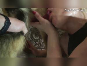 Masked Woman and Her Four-Legged Companion - Bestial Video