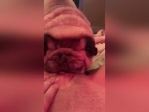 Story of bestiality: a woman and her dog