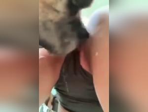 The Artful Expression of Canine Sexuality